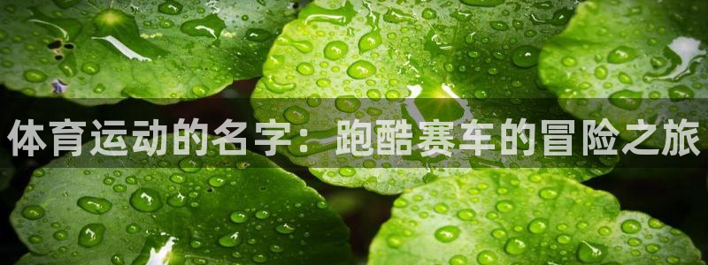 JJB竞技宝官网下载平台注册流程视频：体育运动的名字