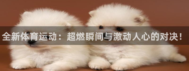 JJB竞技宝官网下载招商电话地址查询