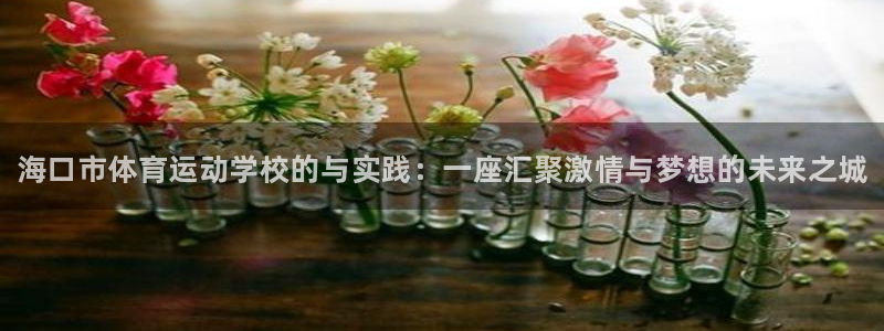 JJB竞技宝官方正版app科技：海口市体育运动学校的