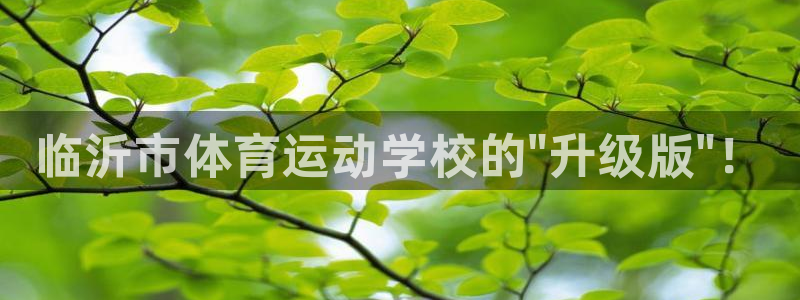 JJB竞技宝官方平台体育：临沂市体育运动学校的\