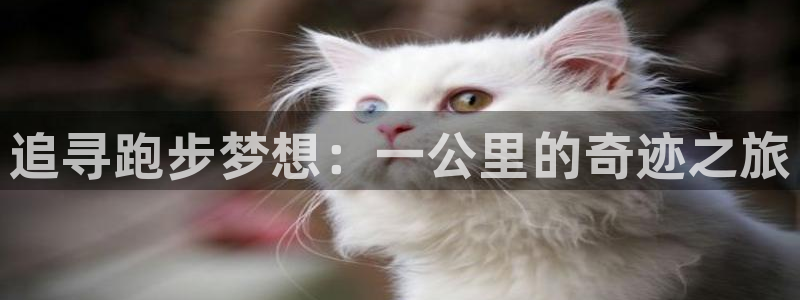 JJB竞技宝官网下载软件：追寻跑步梦想：一公里的奇迹