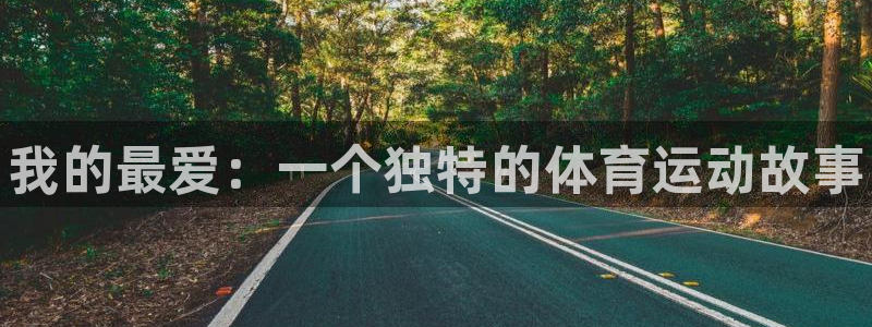 JJB竞技宝官方正版app科技：我的最爱：一个独特的