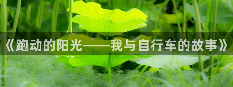 JJB竞技宝官方正版app娱乐平台：《跑动的阳光——