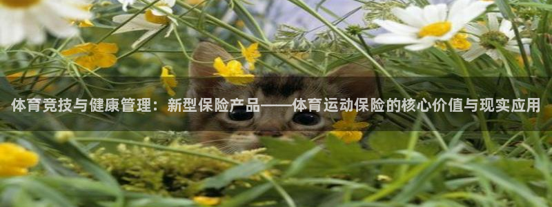 JJB竞技宝官网下载招商电话地址