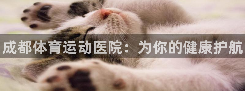 JJB竞技宝官网下载平台