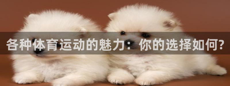 JJB竞技宝官网下载平台注册要钱吗：各种体育运动的魅力：你的
