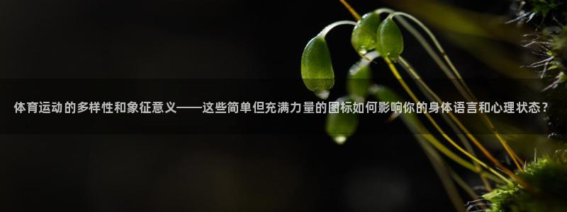 JJB竞技宝官方正版app官网：体育运动的多样性和象征意义—
