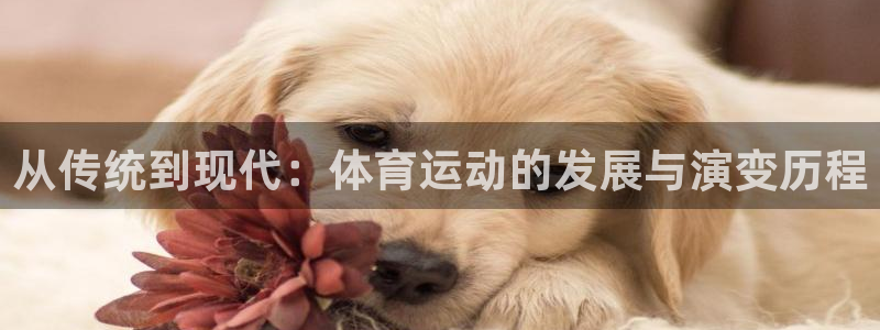 JJB竞技宝官网下载招商电话地址是多少：从传统到现代：体育运