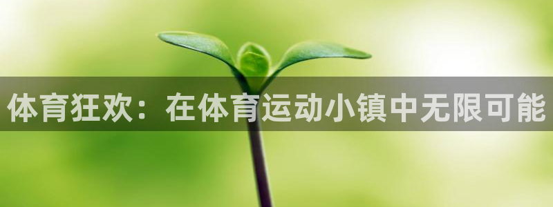 JJB竞技宝官方正版app神州：体育狂欢：在体育运动