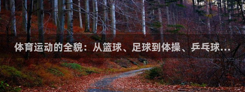 JJB竞技宝官网下载注册：体育运动的全貌：从篮球、足