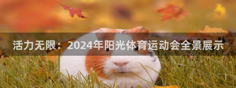 JJB竞技宝官网下载联系电话：活力无限：2024年阳