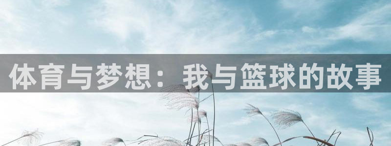 JJB竞技宝官方正版app神州：体育与梦想：我与篮球