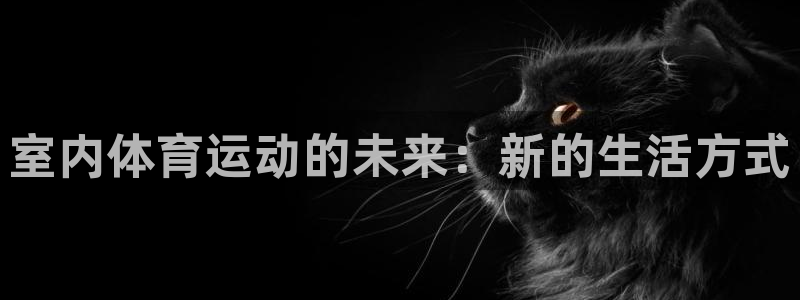 JJB竞技宝官网下载招商电话：室内体育运动的未来：新的生活方