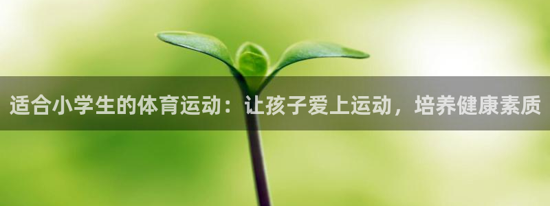 JJB竞技宝官方正版app集团logo